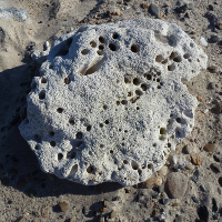 DK - Klitm&oslash;ller
