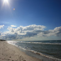 DK - P&aelig;lebakke Klit
